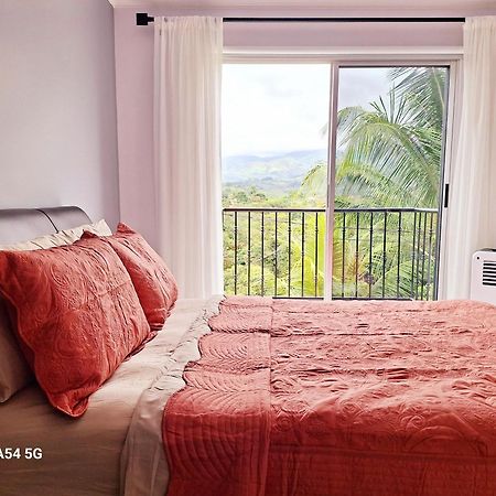 Hostel Victoria House San Isidro De El General Zewnętrze zdjęcie